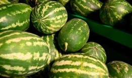 龙州网红吃瓜事件,揭秘网络舆论的风暴与真相