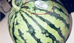 邹平网红吃瓜,揭秘网络红人的真实一面