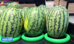 娱乐吃瓜酱潍坊,揭秘潍坊娱乐圈那些事儿