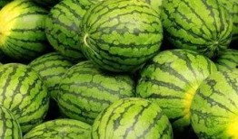 吃瓜大赛每日聚集地