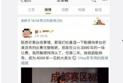 娱乐圈吃瓜网站叫什么,那些你不知道的“吃瓜”网站幕后故事