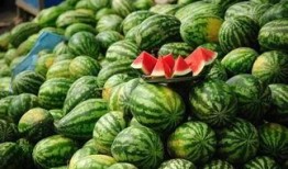 景区吃瓜网红事件,一场网络狂欢背后的争议与反思