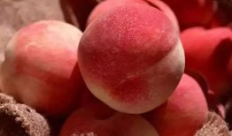 吃瓜和吃桃网红词,网红词汇背后的趣味解读