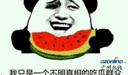 吃瓜群众这个梗怎么来的,从“吃瓜群众”看网络流行语的演变与传播