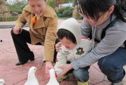 娱乐吃瓜报道怎么写的,吃瓜群众热议的幕后故事