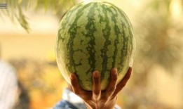 娱乐吃爆瓜,爆瓜盛宴，明星幕后故事大公开