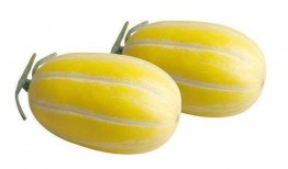 永久吃瓜网,网络舆论场的“瓜田”盛景